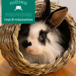 Timothy CLUB Small Animal Tunnel