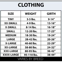 Toronto Raptors Jersey