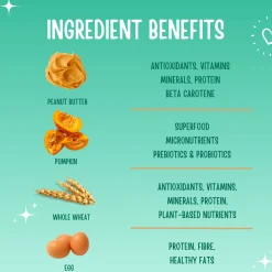 Trainers Peanut Butter & Pumpkin Dog Treats