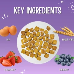 Trainers Strawberry & Blueberry Dog Treats