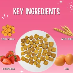 Trainers Sweet Potato & Strawberry Dog Treats