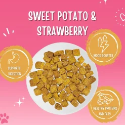 Trainers Sweet Potato & Strawberry Dog Treats