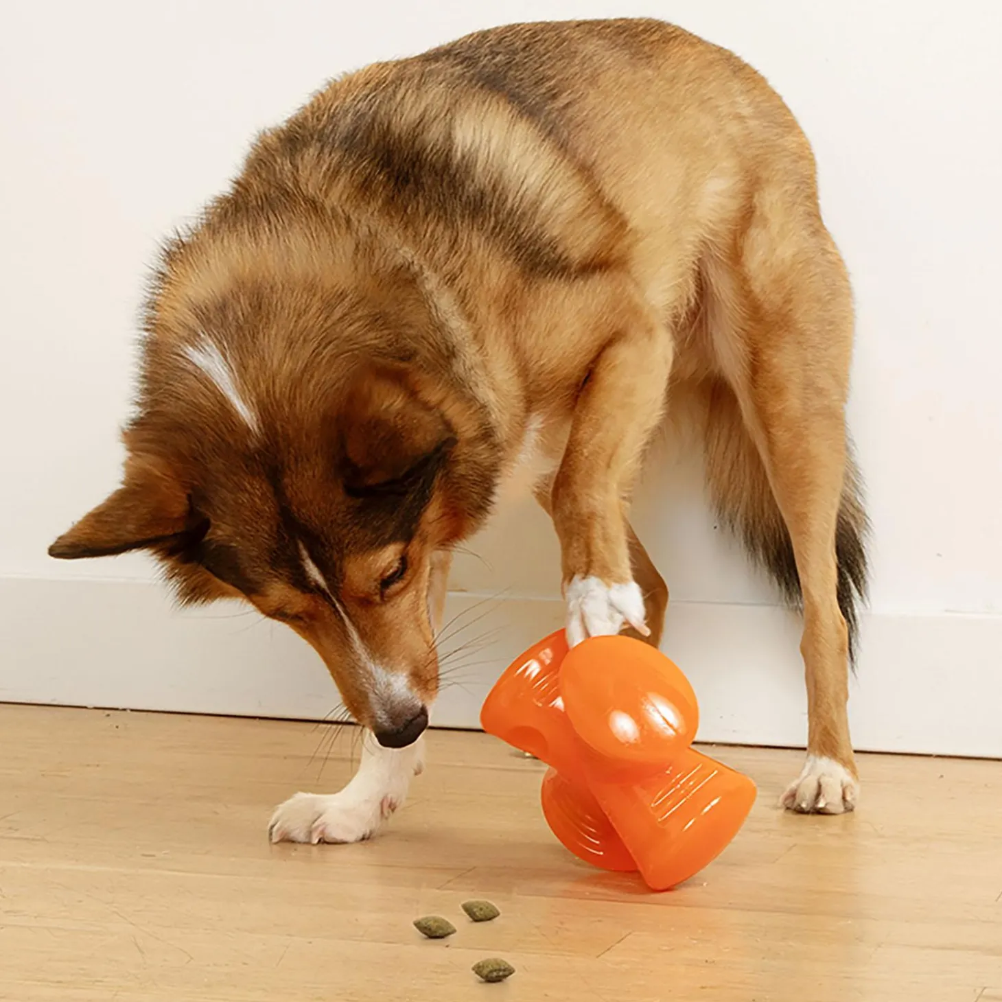 Treat Stuffer Dog Toy