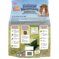 Tropical Carnival Natural Behaviors Foraging Pellets Adult Guinea Pig Food