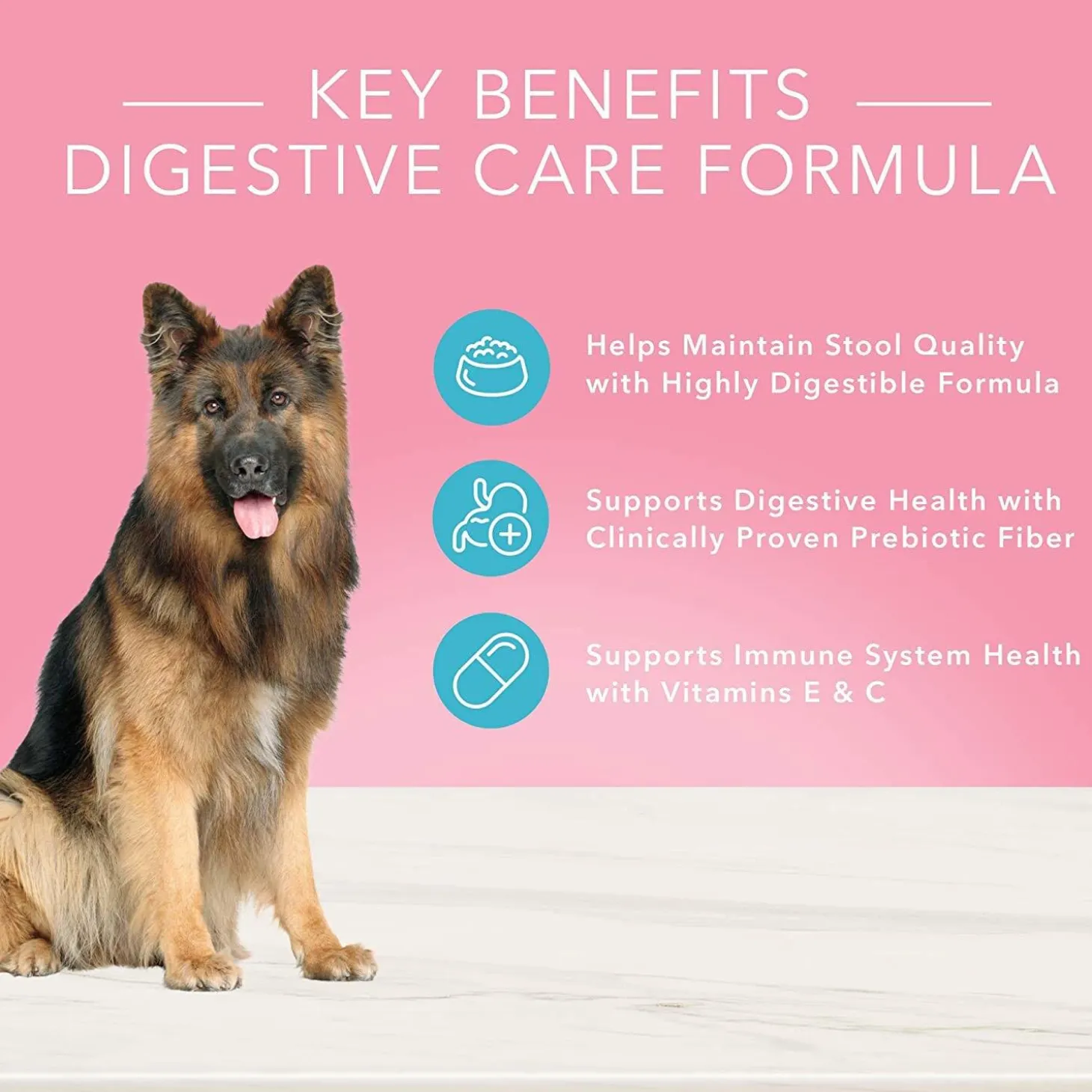 True Solutions Digestive Care Adult Dog Food