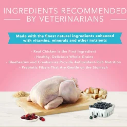 True Solutions Digestive Care Formula Adult Dog Food