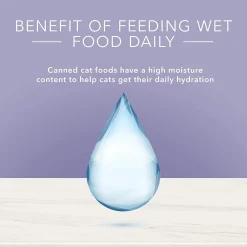 True Solutions Urinary Care Adult Cat Food