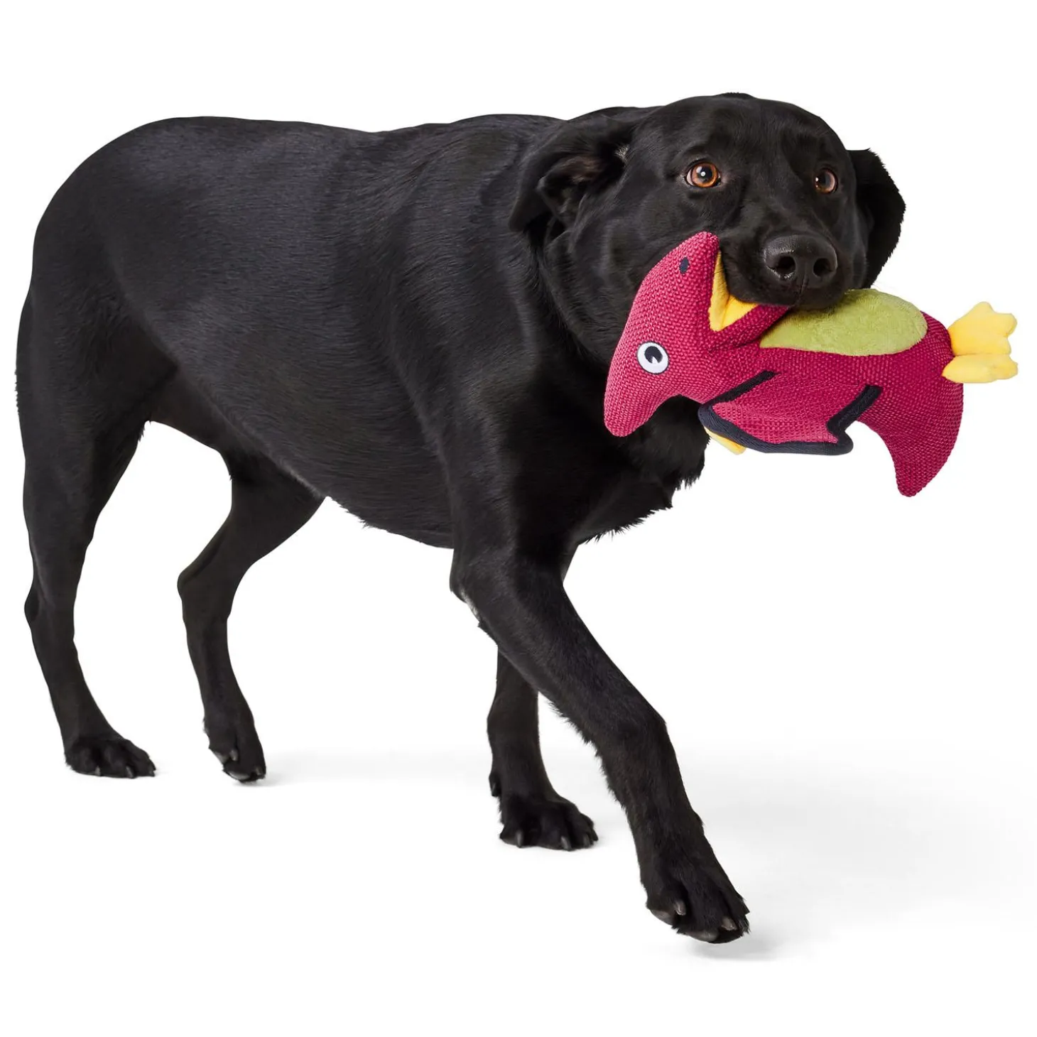 Tuff Pterosaur Dog Toy