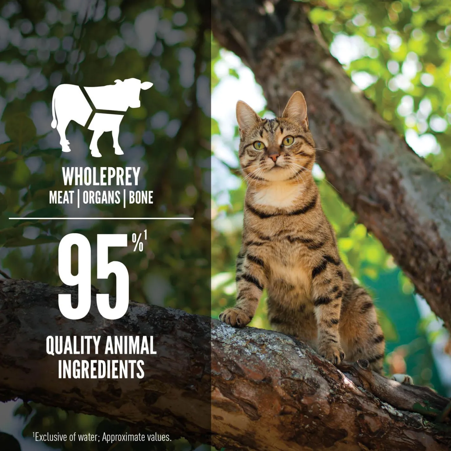 Tuna & Beef Entree Adult Cat Food