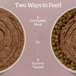 Tuna & Salmon Pate Grain-Free Cat Food