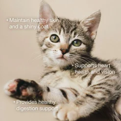 Tuna & Salmon Pate Grain-Free Cat Food