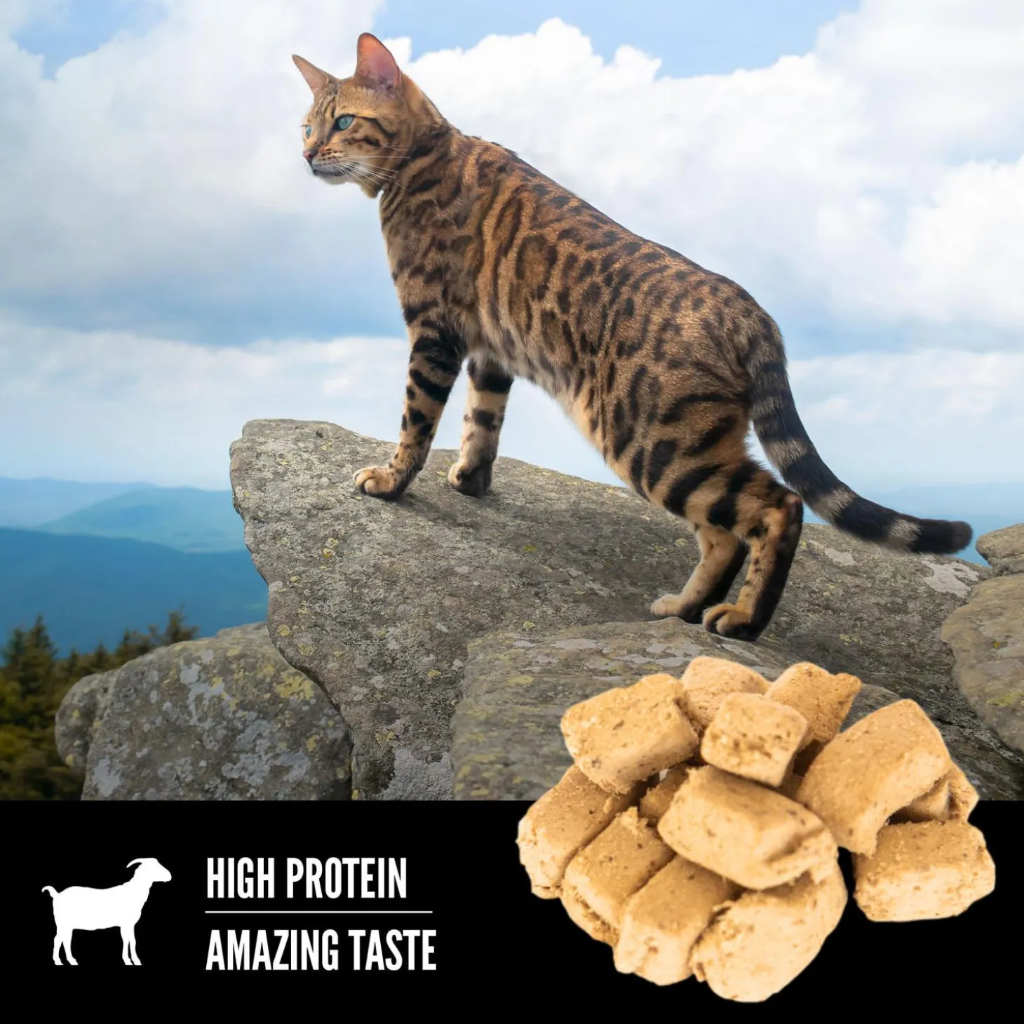 Tundra Freeze-Dried Cat Treats