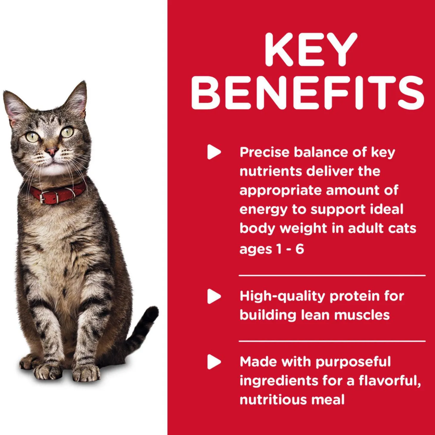 Turkey & Liver Entree Adult Cat Food