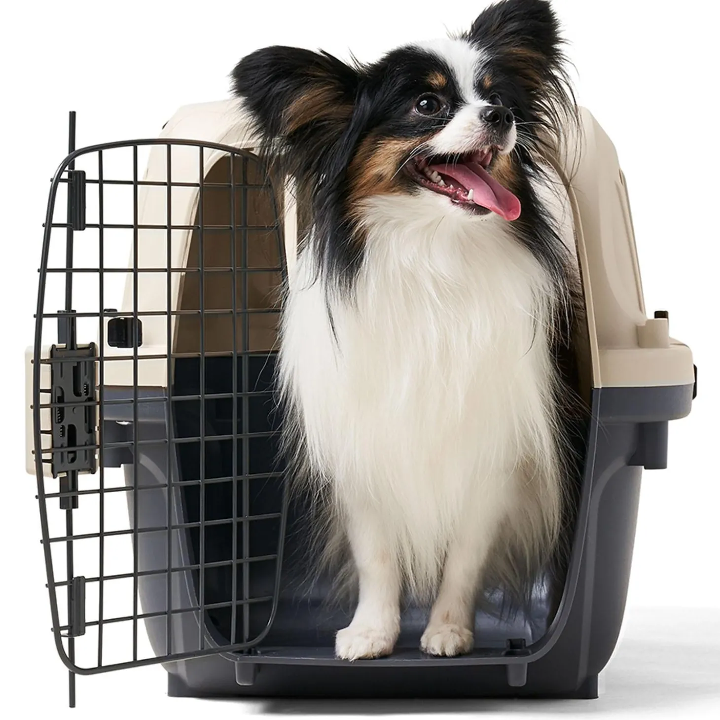 Two Door Top Load Plastic Carrier