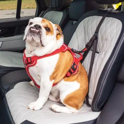 Ultimate Safety Black Tether Dog Seatbelt