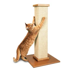 Ultimate Scratching Post