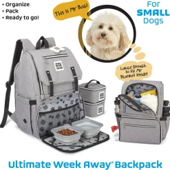 Ultimate Week Away Light Grey Backpack
