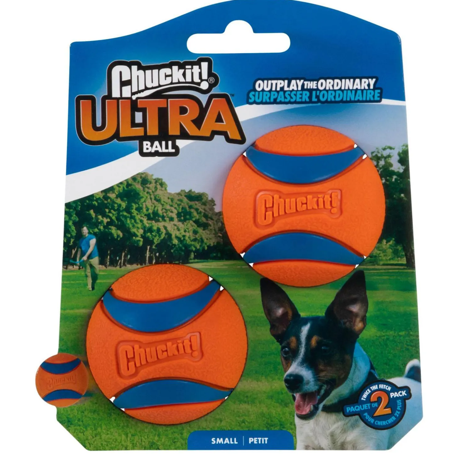 Ultra Ball 2 Pack Dog Toys