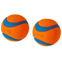 Ultra Ball 2 Pack Dog Toys