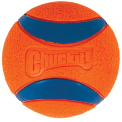 Ultra Ball Dog Toy