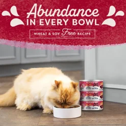 Ultra Premium Salmon Formula Cat Food