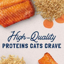 Ultra Premium Salmon Formula Cat Food