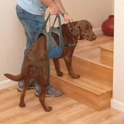 Up & About Dog Lifter