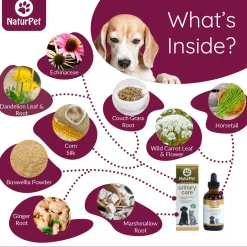 Urinary Care Pet Supplement