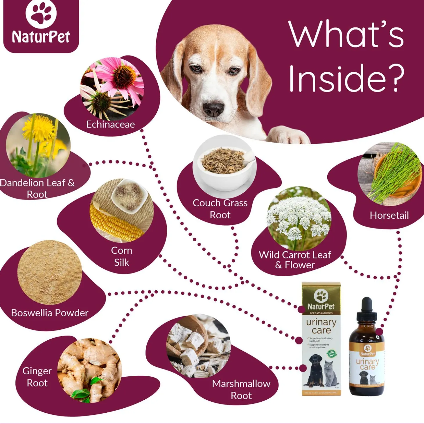 Urinary Care Pet Supplement