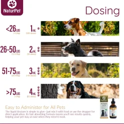 Urinary Care Pet Supplement