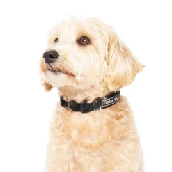 Utility Black Camo Dog Collar