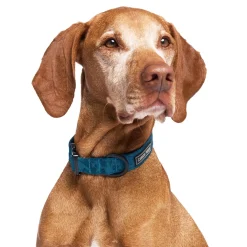 Utility Blue Camo Dog Collar