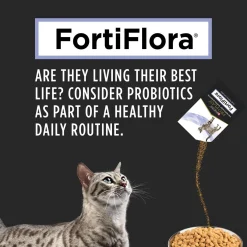 Veterinary FortiFlora Probiotic Powdered Cat Supplements
