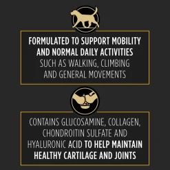 Veterinary Joint Care for Medium-Large Dog Supplements
