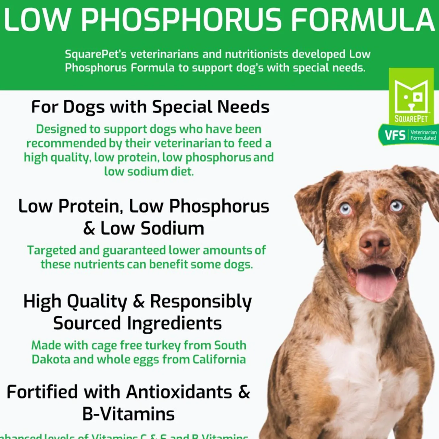 VFS Low Phosphorus Formula Adult Dog Food