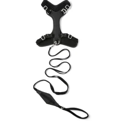 Visibility Black Dog Leash