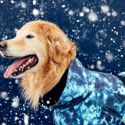 Visibility Lite Petrol Dye Raincoat