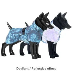 Visibility Lite Petrol Dye Raincoat