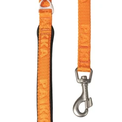 Visibility Orange Dog Leash