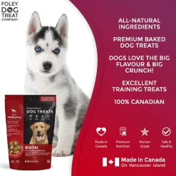 VitalityDog Bison with Saskatoon Berries Dog Treats