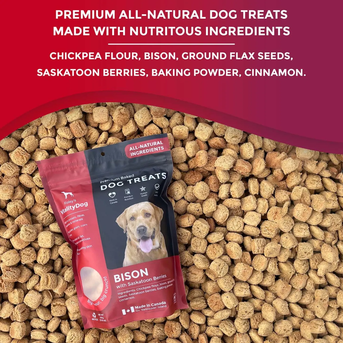 VitalityDog Bison with Saskatoon Berries Dog Treats