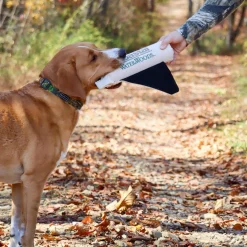 Water and Woods Adjustable Camo Patterned Dog Collar Green