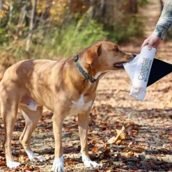 Water and Woods Adjustable Camo Patterned Dog Collar Green