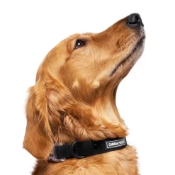 Waterproof Black Dog Collar