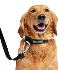 Waterproof Black Dog Collar