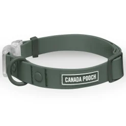 Waterproof Forest Green Dog Collar