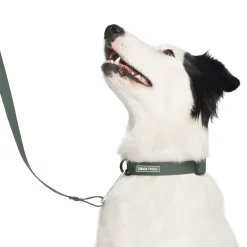 Waterproof Forest Green Dog Collar