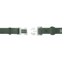 Waterproof Forest Green Dog Collar