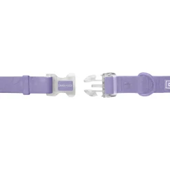 Waterproof Lavender Dog Collar
