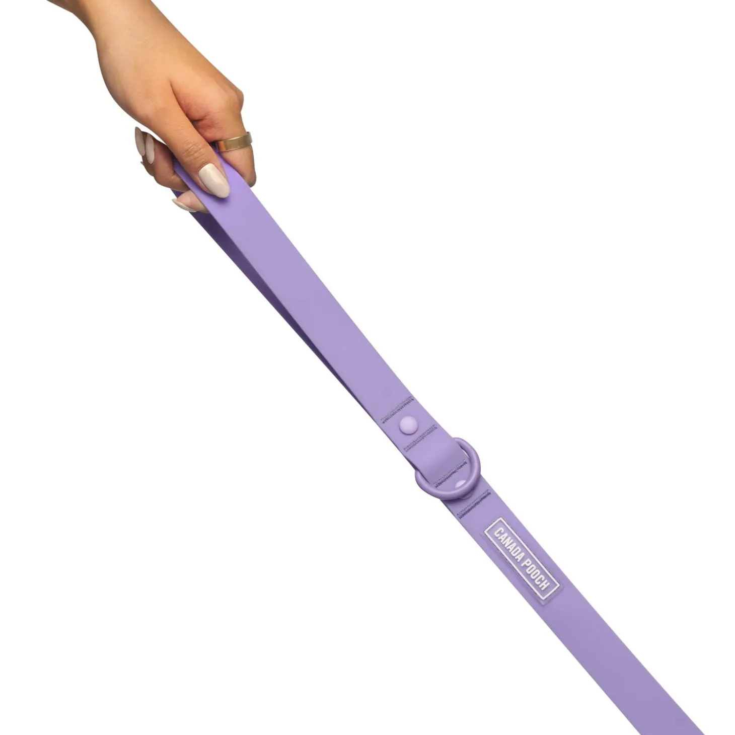 Waterproof Lavender Dog Leash